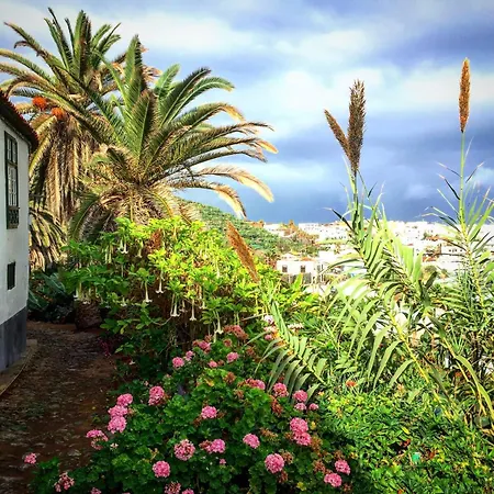 Alenes En Flor דירה *