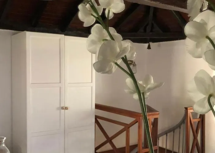 דירה Alenes En Flor Las Aguas